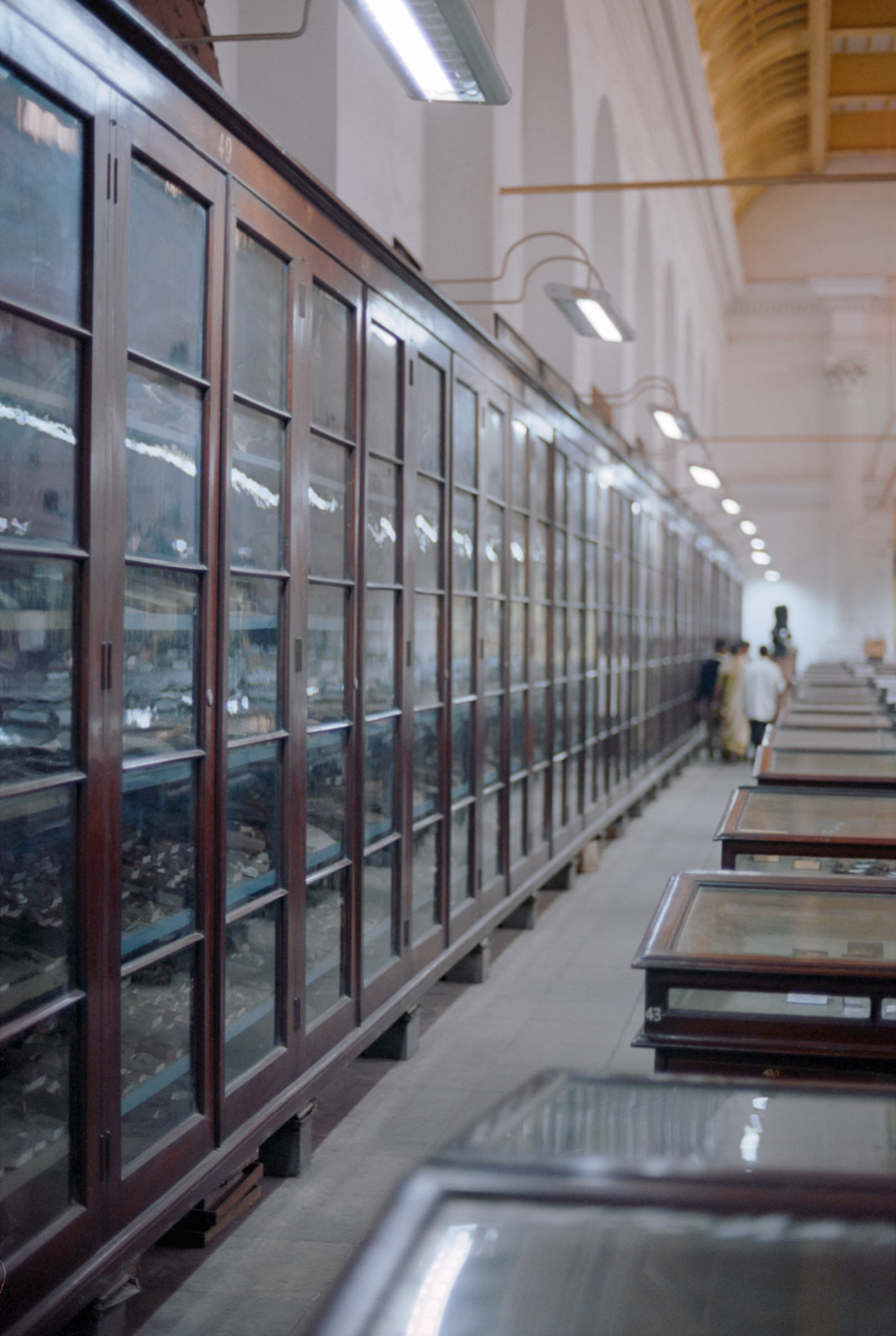 AHP film 2005 01 002 sc240825 img02 NLP